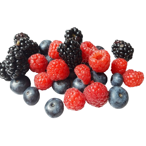 vegi__1_-removebg-preview