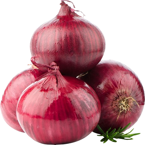 vegi__2_-removebg-preview